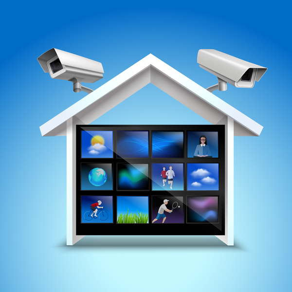 Apex Vision Security Solutions